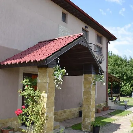 Gazde/Camere de închiriat Casa Monique Costineşti